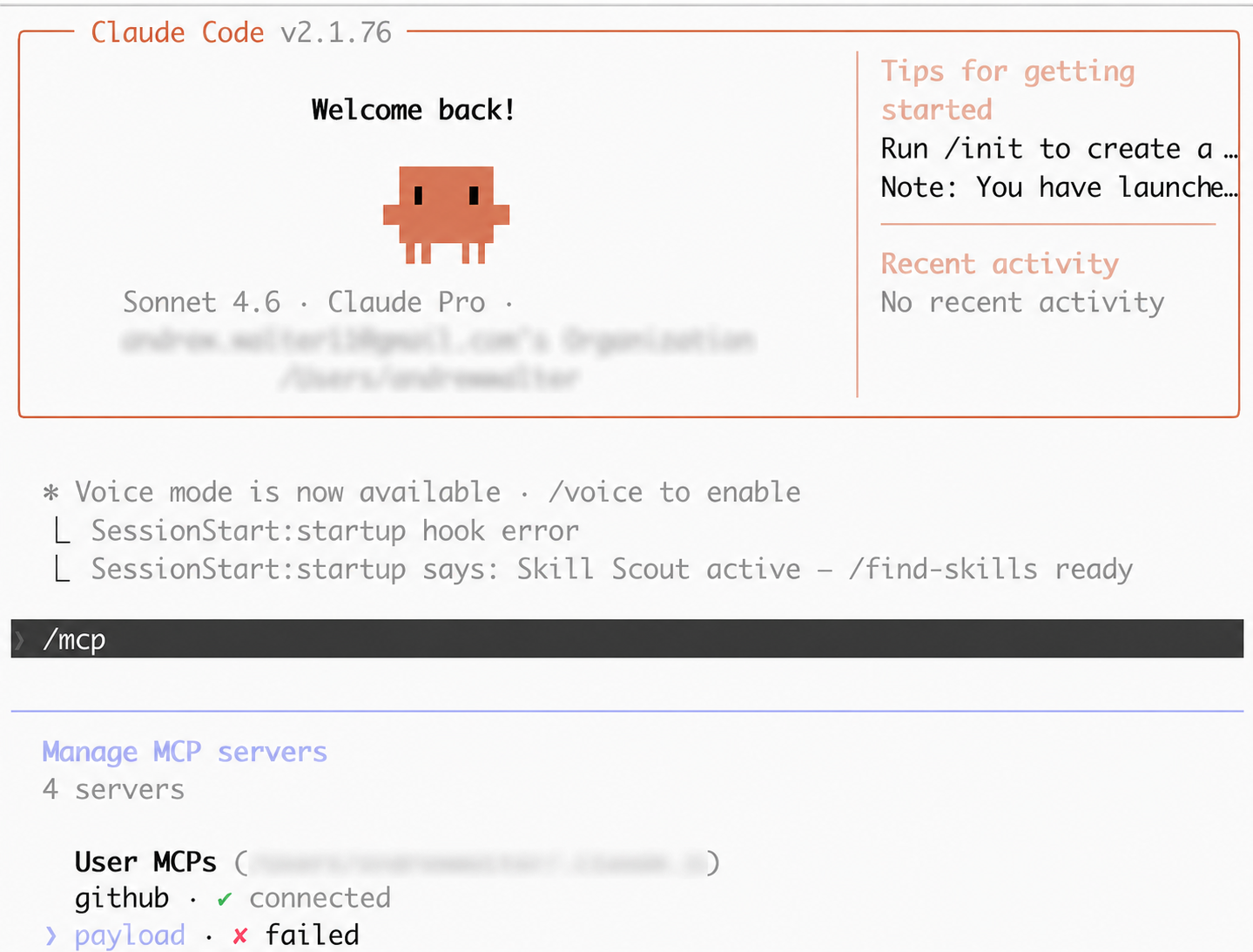 Claude Code MCP panel showing Payload with a failed status and all personal information redacted